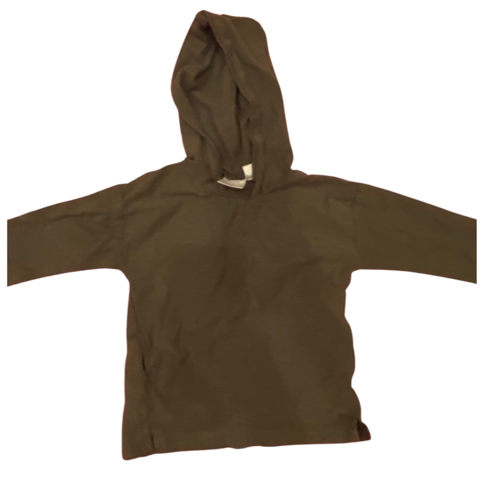 Zara hooded long sleeve toddler boy